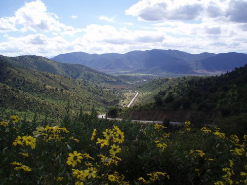 Mallarauco
