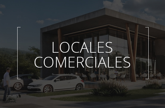 LOCALES COMERCIALES