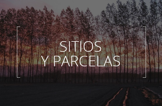 SITIOS Y PARCELAS